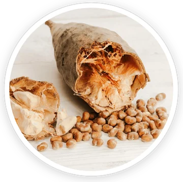 Baobab — ingredient in DigestSync