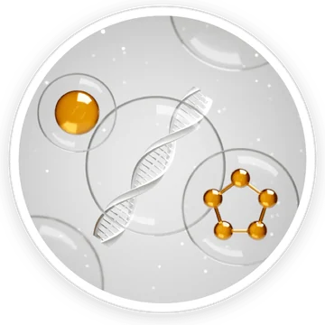 Biogenic Polyamines — ingredient in DigestSync