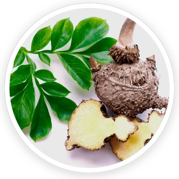 Konjac — ingredient in DigestSync